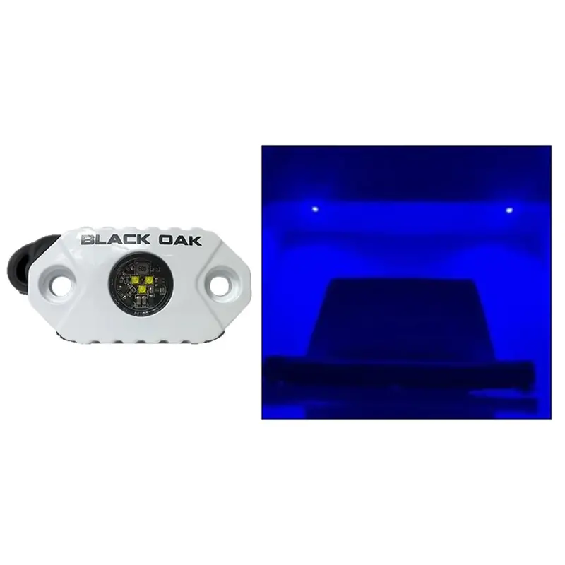 Black Oak Rock Accent Light - Blue Leds - White Housing [Mal-B] 1