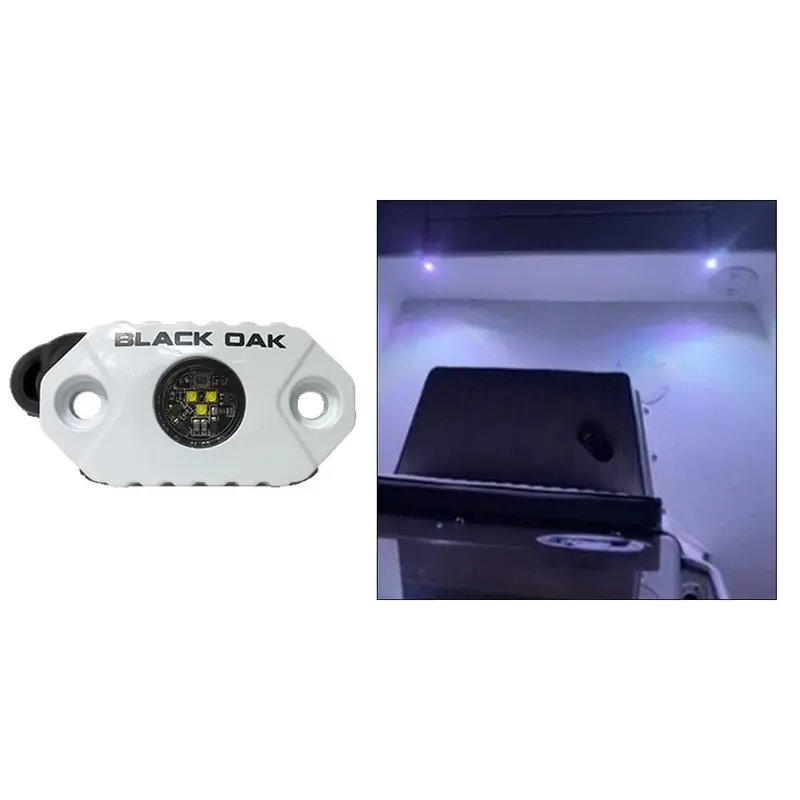 Black Oak Rock Accent Light - White Leds - White Housing [Mal-W] 1