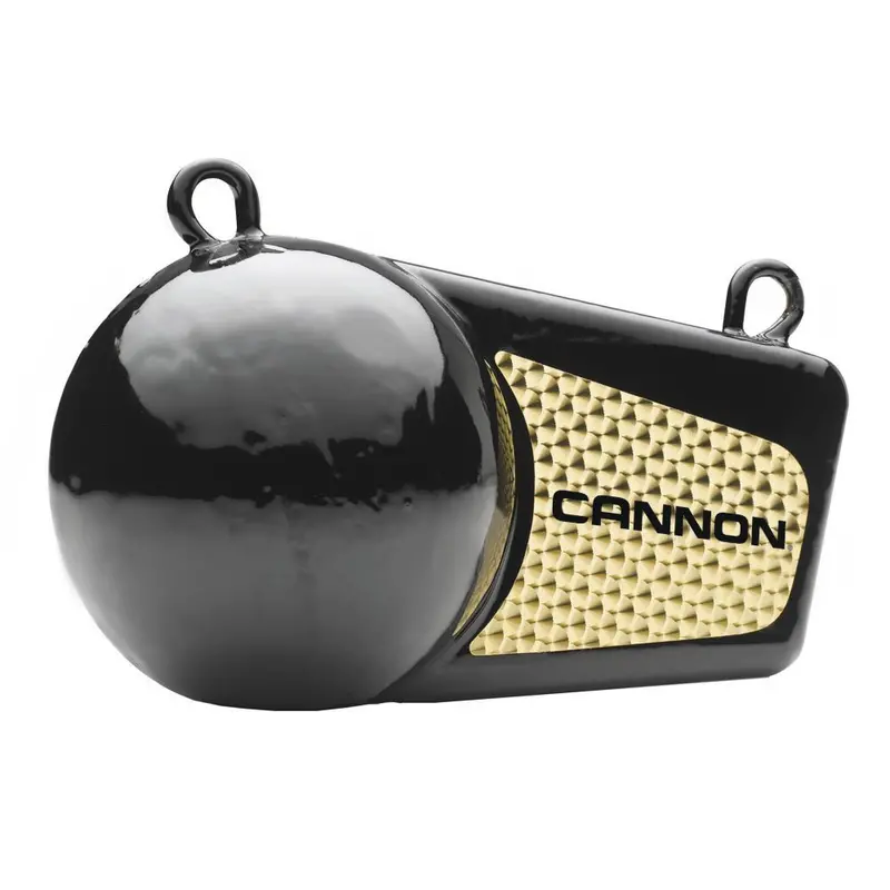 Cannon 10Lb Flash Weight [2295184] 1