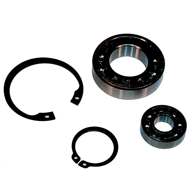Maxwell Bearing Kit 300-3500 [P90007] 1
