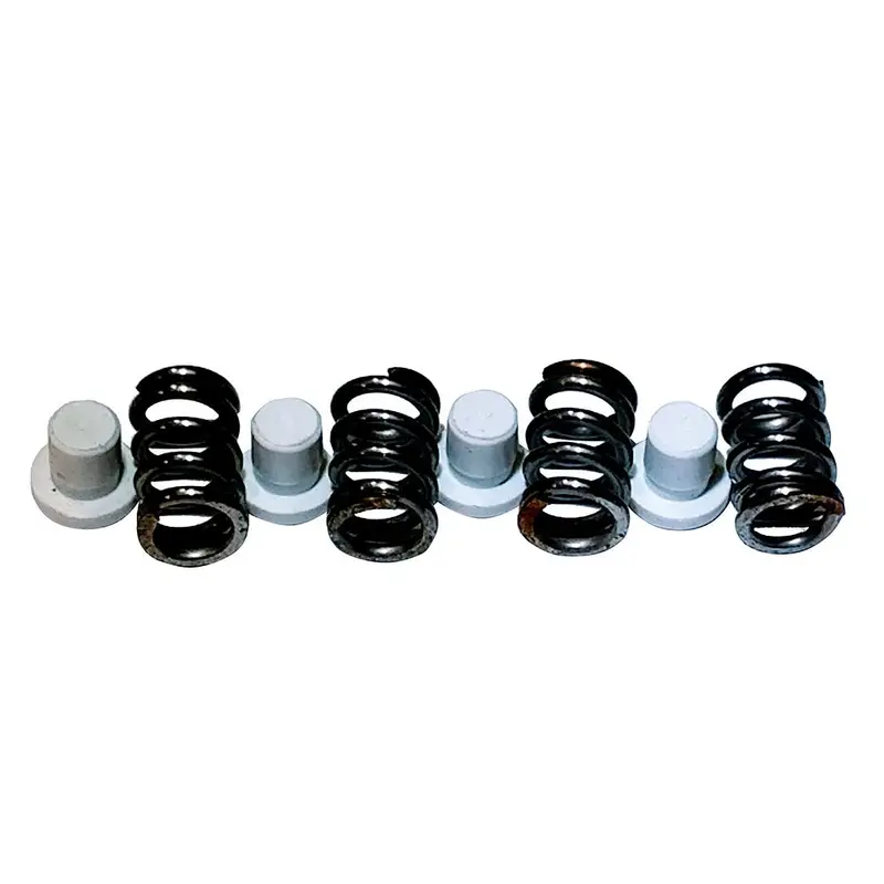 Maxwell Plunger/Spring Kit - 2200-4500 [P101550] 1