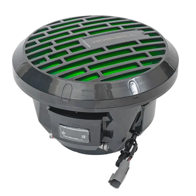 Roswell R1 10" Subwoofer - Anthracite - 250W Rms  500W Peak Power [C920-1802] 1
