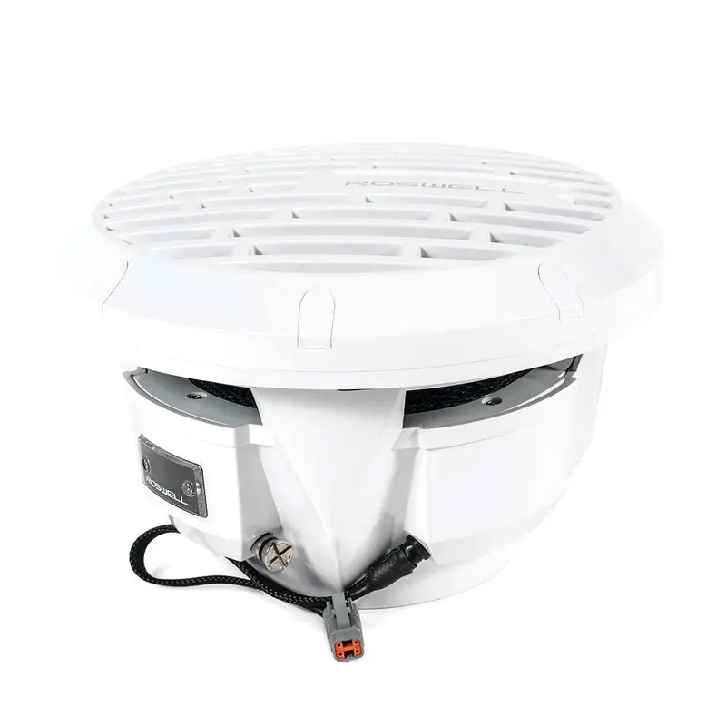 Roswell R1 10" Subwoofer - White - 250W Rms  500W Peak Power [C920-1800] 1